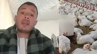وضع سوق اللحم الفتره القادمه 