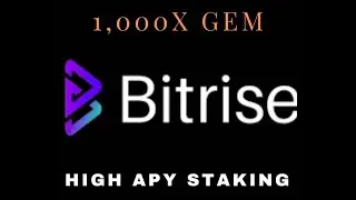 Make 1,000X with Brise (Staking)