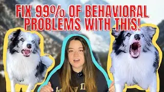 What Are Desensitization and Counterconditioning? (FIX Dog Reactivity and Most Behavioral Problems)