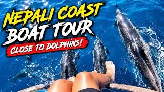 Nepali Coast Boat Tour Kauai. Getting Close to Dolphins in Hawaii. Best NaPali Coast Tour in Kauai
