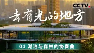 《去有光的地方》01 湖泊与森林的协奏曲：一座蓄水量远超杭州西湖的水库 历经十年打造 重塑了深圳的用水格局【CCTV纪录】