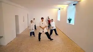 Learning Internal Principles in Ji Ben Quan - Basic Position Kung Fu Form #Wudang #Jibenquan