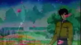 sailor moon you raise me up