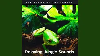Calming Sensation