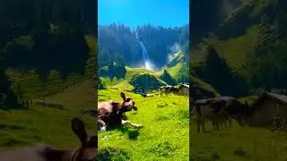 Beautiful farm in Switzerland ✨✨