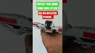 PROTECT YOUR DRONE FROM BIRD'S ATTACK #drone #dji #djineo #djineo2