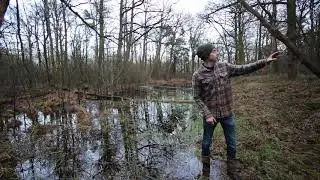 Over swales en vijvers in het (voedsel)bos | Water is leven #permacultuur
