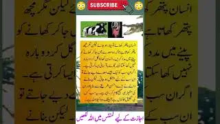 Wazifa for hajat #wazifa #wazify #trending #islamic #shorts #love #today #islam #duausman315