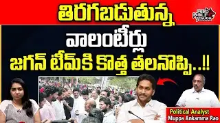 AP Volunteers Forcefully Resigns By YCP Leaders | CM Jagan | AP Elections | AP Politics | Wild Wolf