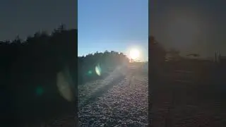 Inou&iuml;e Rigodon Embets / PFS par Le look Tilia et et Eb&egrave;ne Star d'Embets