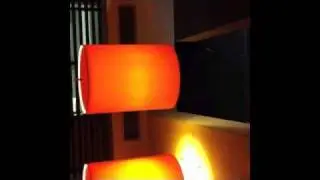 guddacht voggel