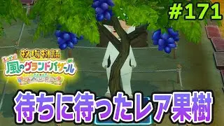 【新作】完全初見で楽しみまくる牧場物語リメイクの新作を実況プレイ！#171【Let's！風のグランドバザール】【ぽんすけ】