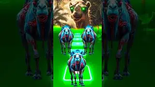 Zombie Camel🐫| Tiles Hop Animals Dance #tileshop #tileshopedmrush #tileshopgameplay #tileshopgame