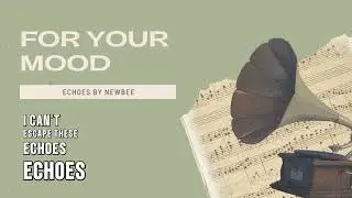 Echoes &ndash; NewBee (Official Lyric Video) | Emotional Heartbreak Song