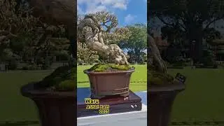 WARU ASPAC Gianyar Bali 2025