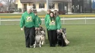 The Fine Canine Dog Obedience Drill Team