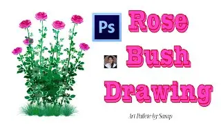 Beautiful Rose Flower Bush Drawing For Animation Background in Photoshop / Flower Drawing