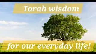 Torah wisdom for our everyday life! Parsha Vayishlach