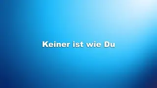 Keiner ist wie du - Martin Pepper (Cover) with Lyrics