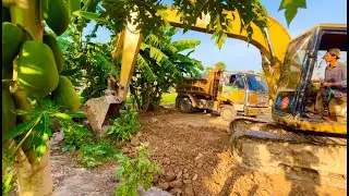 Excavator dig up a tree stump and delete a pond with construction vehicles for kids