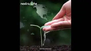 #WorldEnvironmentDay, let's pledge to plant trees and create a greener future.