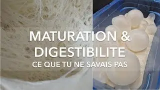 LA MATURATION REND LA PÂTE PLUS DIGESTE ?