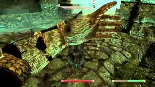 What is a Skeever - Skyrim