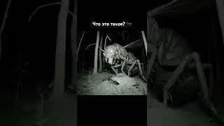 Муравьиная королева или пчела? #муравьи гигантский монстр #мутанты #memes