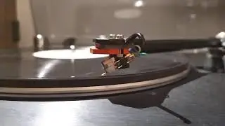Naked  Dynavector 10X5