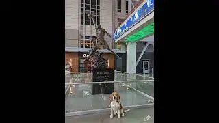 A beagle poses in front of a Michael Jordan statue