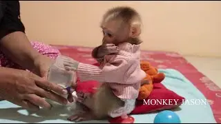 Tiny Baby Jason Anxiously Run To Drink Milk After Sit Grumble Wait Mom Prepare Milk