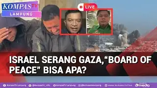 “Board of Peace”, Mampu Merdekakan Palestina? Begini Kata Pengamat & DPR