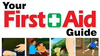 Your first aid guide | First Aid for Burns | Sunstroke | Snake bite | Dog bite | Home Revise
