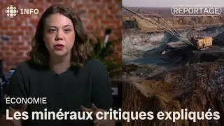 Min&eacute;raux critiques : pourquoi autant d'engouement?