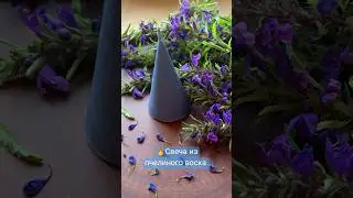 Свеча с добавлением трав #СинюхаГолубая #свечиизвоска #свечиручнойработы##candle #2025