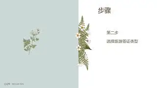 手把手教你申请申根签证#china #签证 #申請