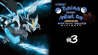 Pol&iacute;gono Hormig&oacute;n Pok&eacute;mon Negro 2 Anitwt Cup 3.5 | Tramo 2
