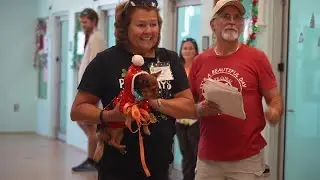 Cape Coral Animal Shelter spreads Christmas cheer to dogs and cats waiting for their forever homes