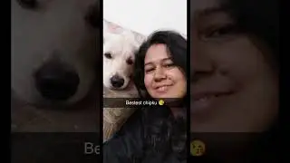 #dog #simba #love #pets #shortvideo