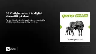 36 Viktigheten av &aring; ta digital dermatitt p&aring; alvor