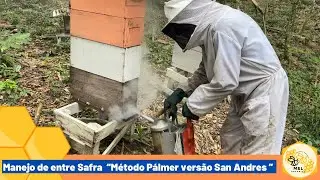Manejo de entre Safra, aguardando a chegada da Flor do Eucalipto!