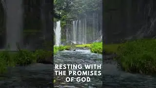 Resting With The Promises From God! #peaceofgod #rest #soundsleep