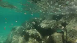 Florida August 2025. Hurricane waves and Peanut Island Snorkeling