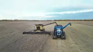 Straight cut canola cr9.9