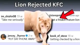 Лев отверг KFC | Музыка для чата