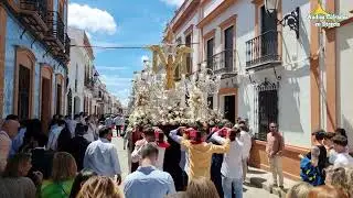 Ante Pilatos, el Hijo de Dios - BCT Las Cigarreras de Sevilla (Cruz Calle la Fuente Rociana) 2024