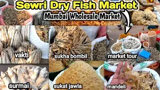 Sewri Dry Fish Market | Mumbai Biggest Wholesale Market 2025 | Dry Fish Market | Seafood Variety 
