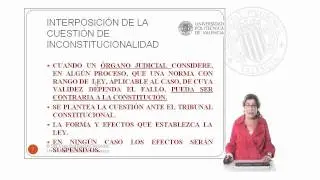 Recurso de amparo, cuestión y recurso de inconstitucionalidad | 28/128 | UPV