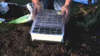 Propagator self watering
