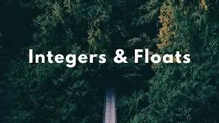 Python: Integer and Float Variables